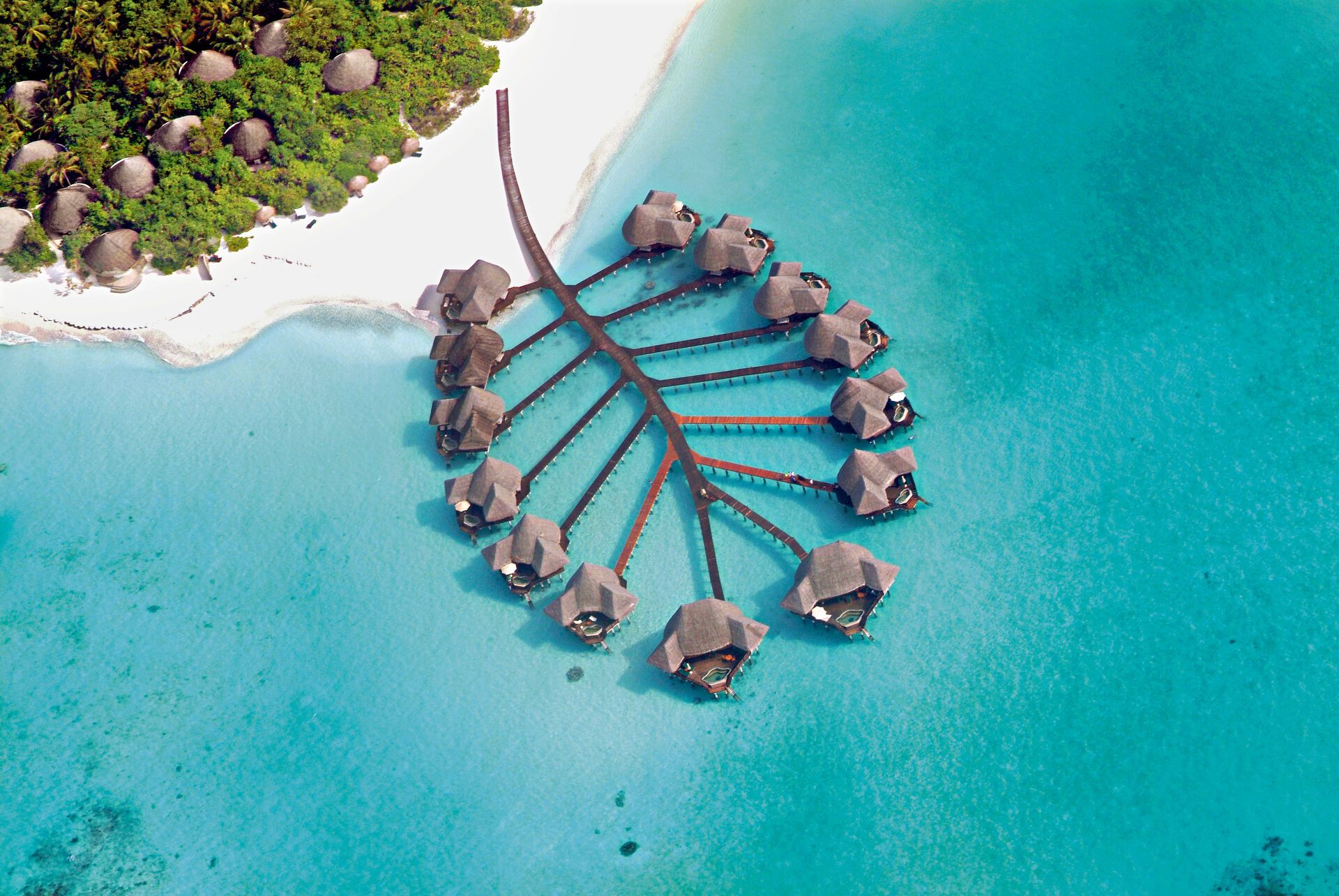Maldives - Hôtel Coco Palm Dhuni Kolhu Resort - transfert inclus 4*