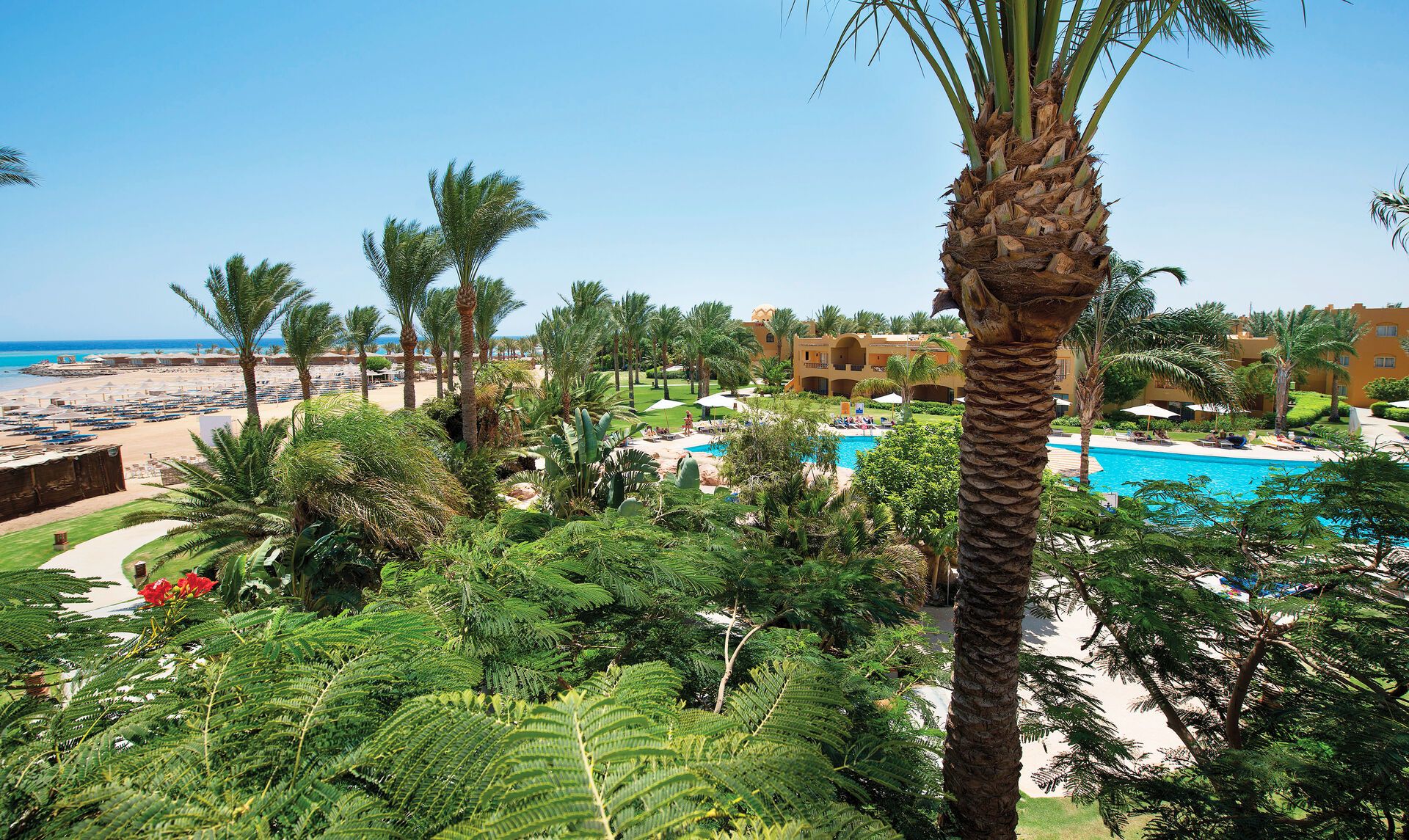 Egypte - Mer Rouge - Makadi Bay - Hôtel Stella di Mare Beach Resort 5*