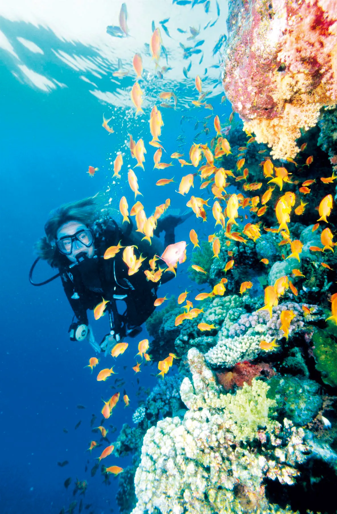 Egypte - Mer Rouge - Hurghada - Hotel Viva Blue Resort & Diving Sharm El Naga 4*