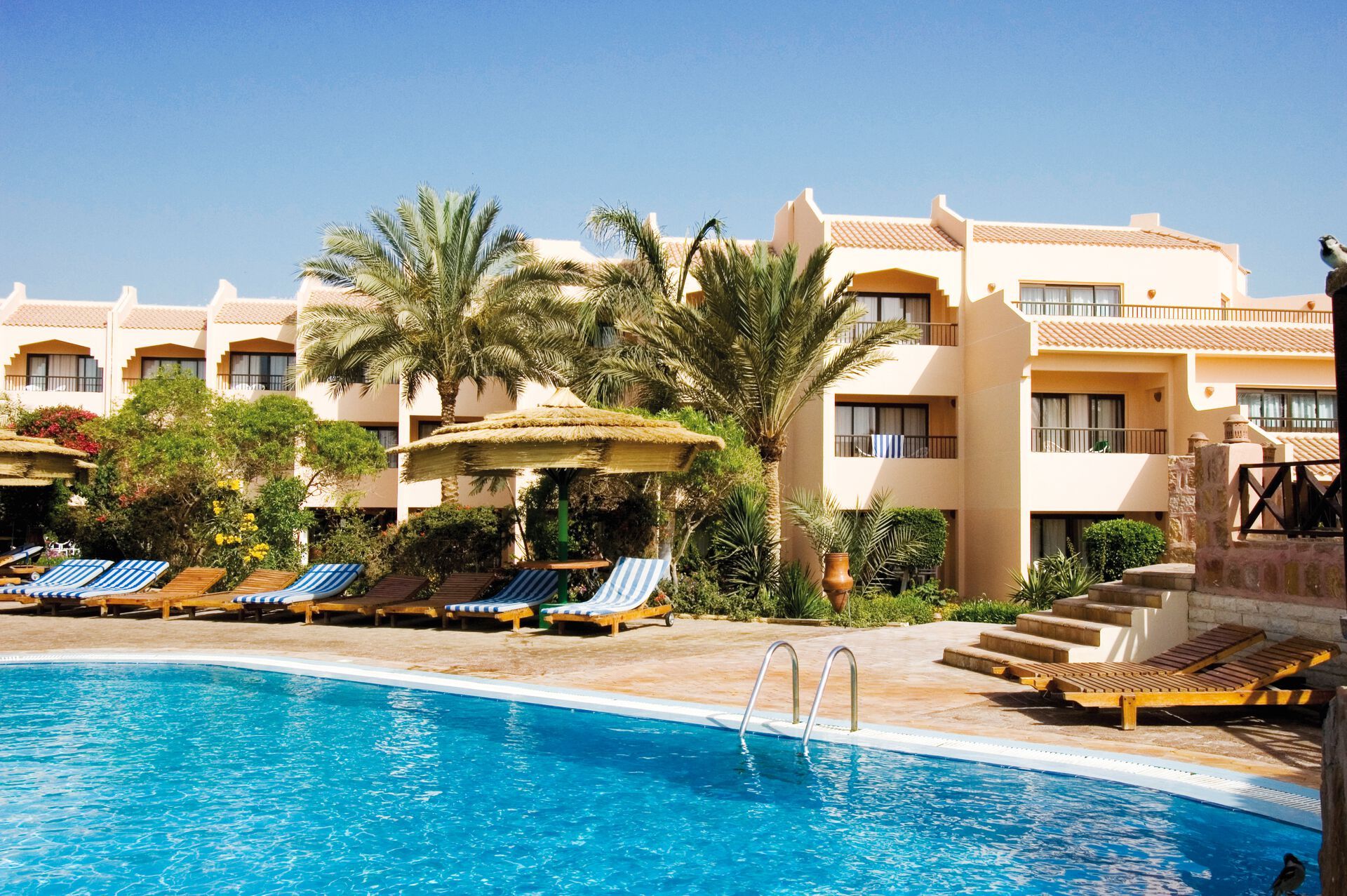 Egypte - Mer Rouge - El Quseir - Hôtel Flamenco Beach & Resort 4*