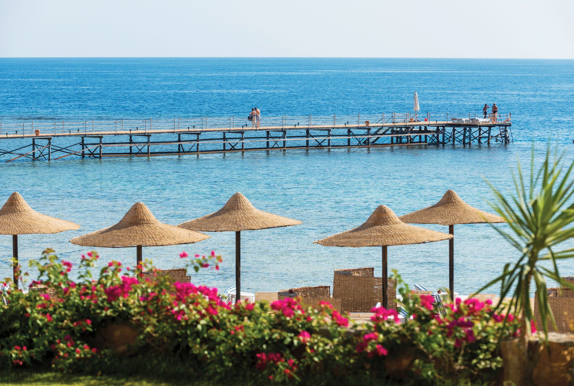 Egypte - Mer Rouge - Marsa Alam - Hôtel Concorde Moreen Beach Resort & Spa 4*