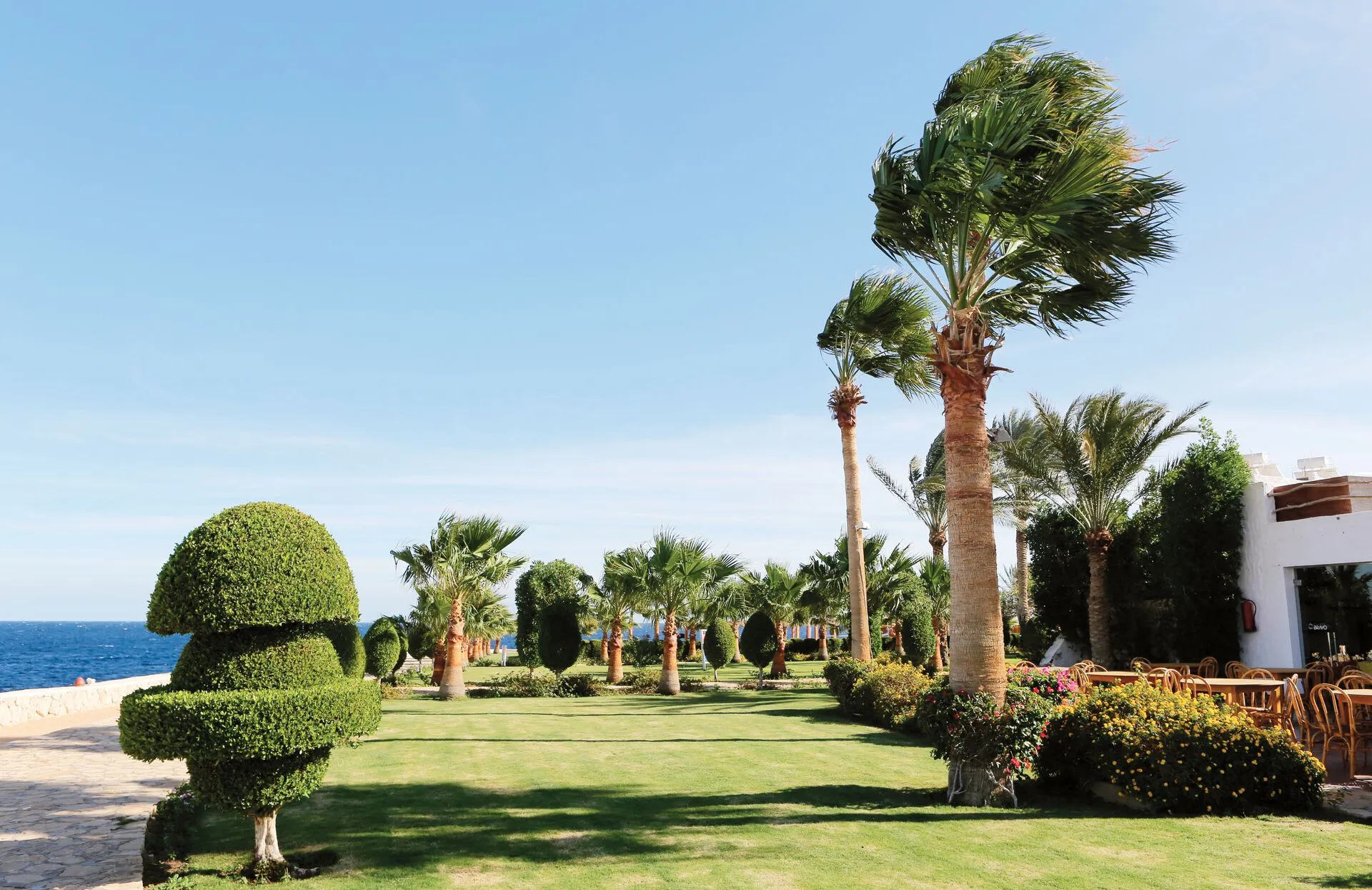 Egypte - Hôtel Sharm Club Beach Resort 4*