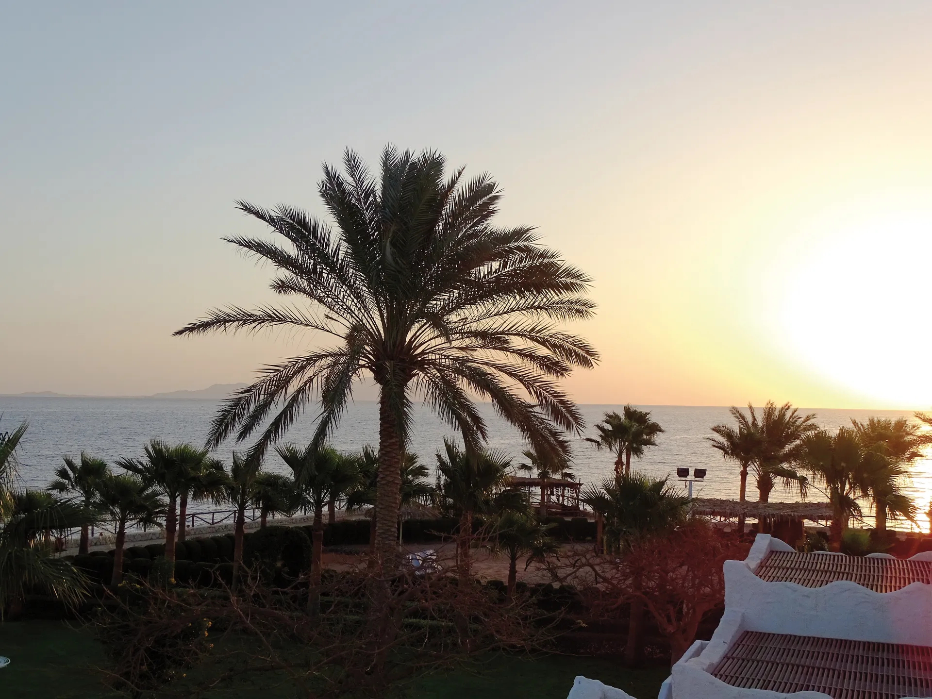 Egypte - Mer Rouge - Sharm El Sheikh - Hôtel Labranda Sharm Club 4*