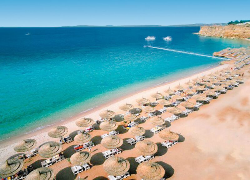Dernière minute Egypte Sharm el Sheikh Hôtel Reef Oasis Beach Resort 5*