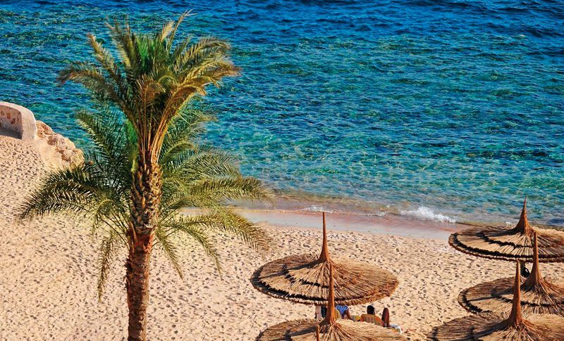 Egypte - Mer Rouge - Sharm El Sheikh - Hotel Reef Oasis Blu Bay Resort & Spa 5*