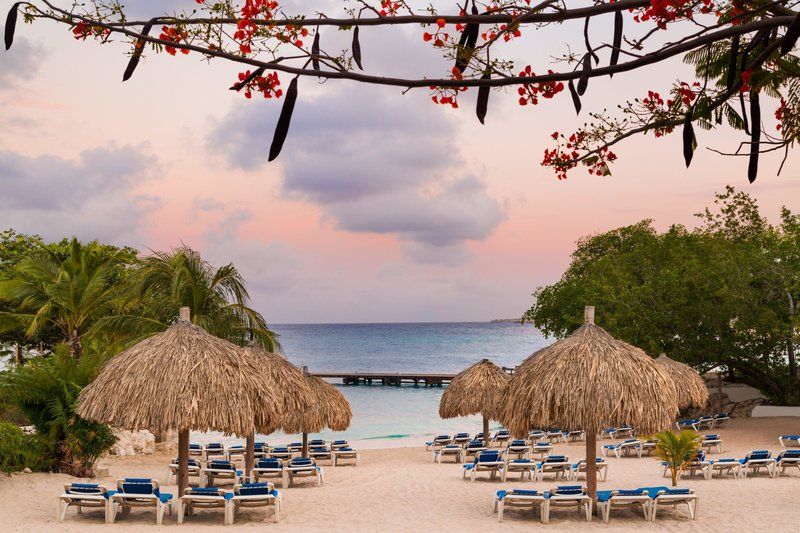 Curaçao - Hôtel Dreams Curacao Resort, Spa & Casino 4*