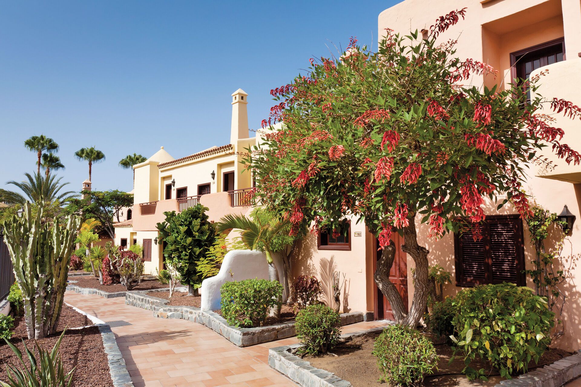 Canaries - Tenerife - Espagne - Hotel Tagoro Family & Fun Costa Adeje 4*