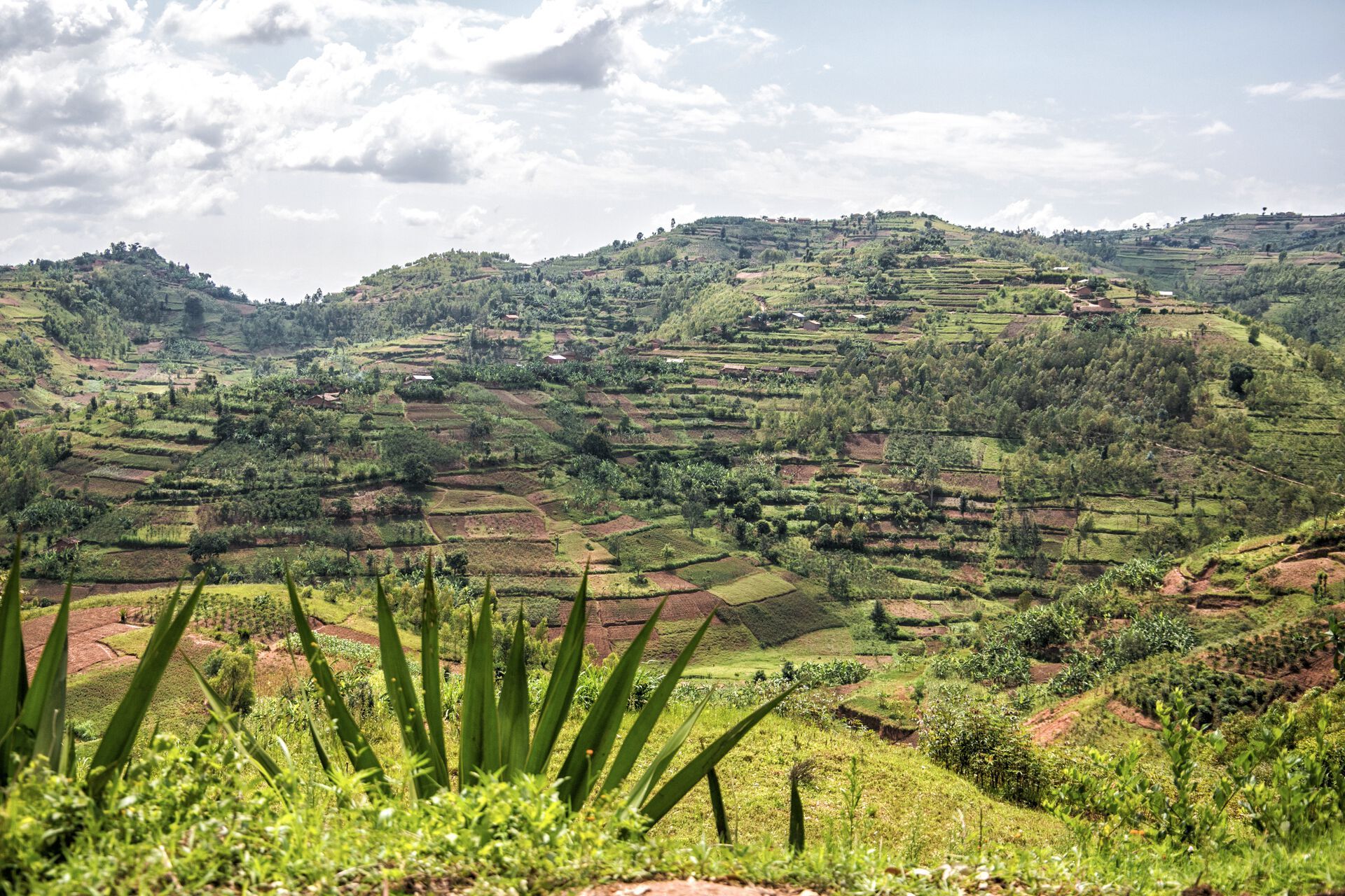 Fly & Help Delegationsreise Ruanda