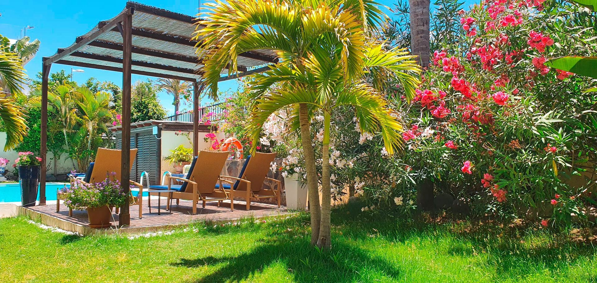 Canaries - Grande Canarie - Espagne - VIP Nogal Appartements 3* - Adults only