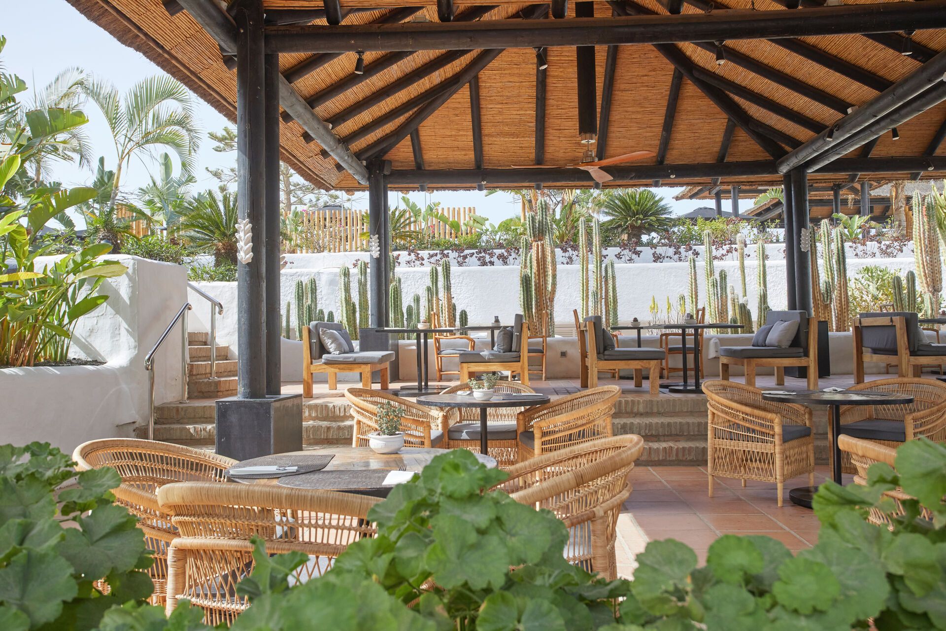 Canaries - Tenerife - Espagne - Hotel Dreams Jardin Tropical Resort & Spa 4*