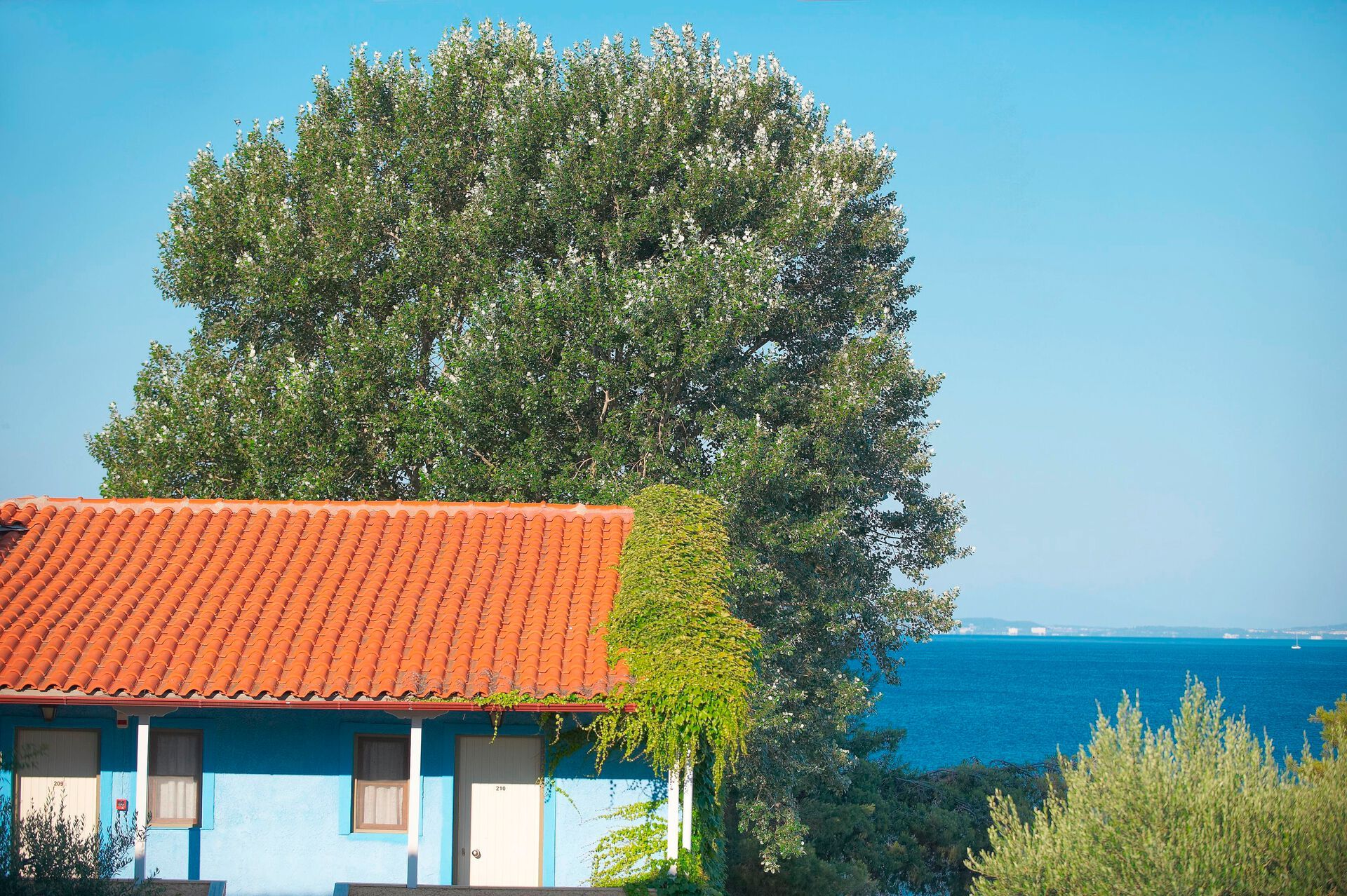 Grèce - Grèce continentale - Thessalonique et sa région - Hôtel Acrotel Elea Beach 4*
