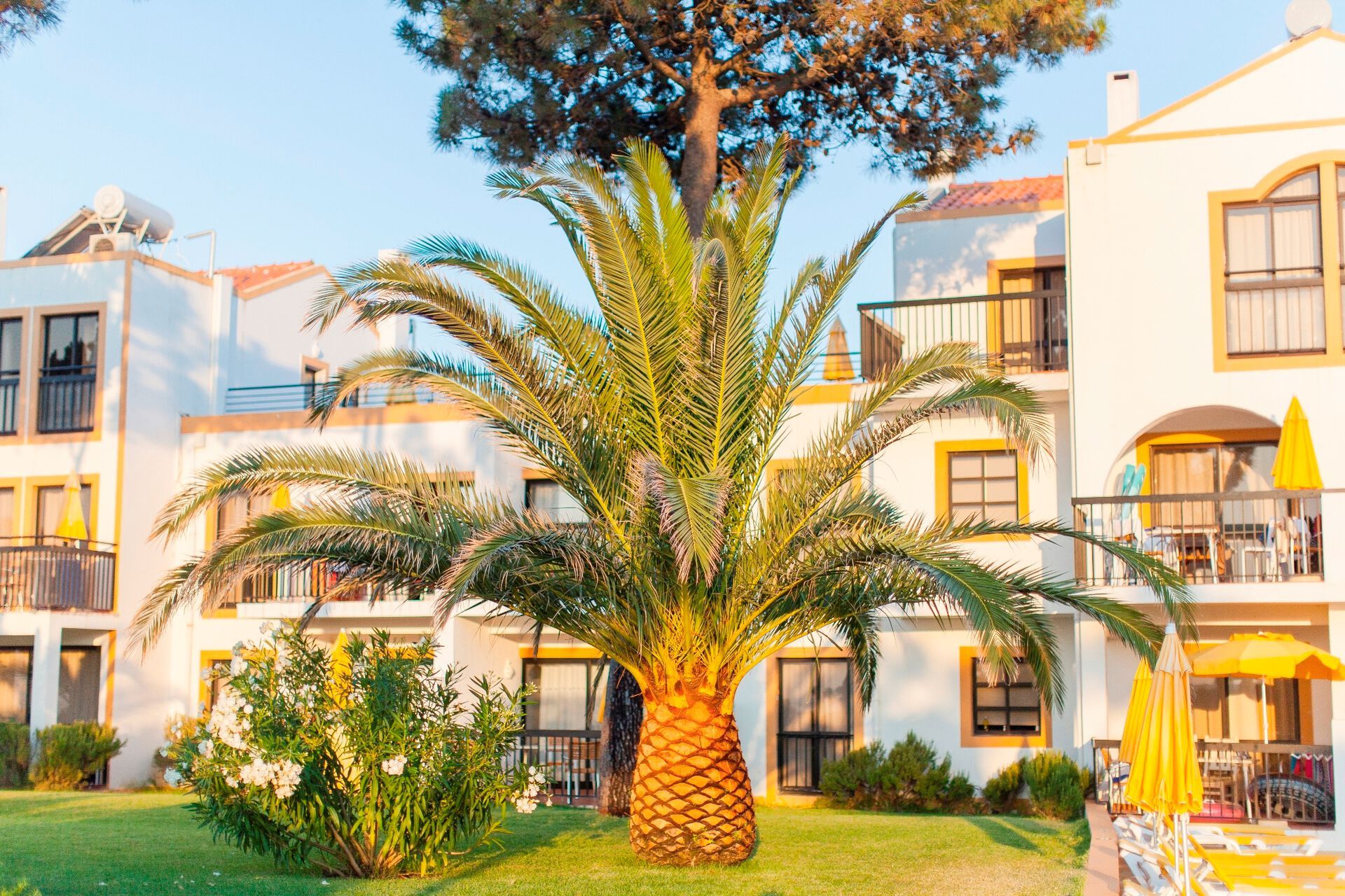 Portugal - Algarve - Hôtel Alfagar I Village 3*