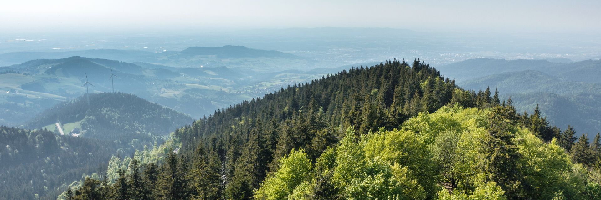 Schwarzwald Wellnessurlaub 