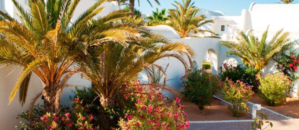 Resorthotel auf Djerba mit Palmen