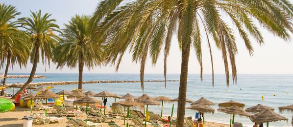 Strand mit Palmen an der Costa de Sol in Marbella