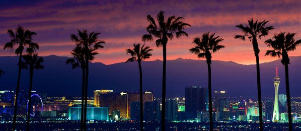 Panorama von Las Vegas mit Palmen 