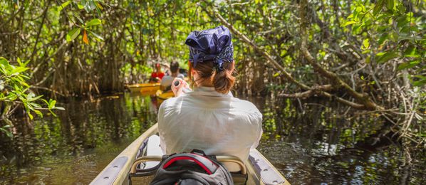 Kajakfahren im Mangrovenwald in den Everglades